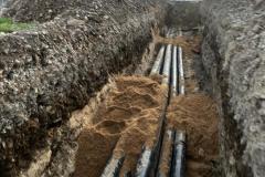 a19b8937-e6d6-4cdb-908f-6936a6ccc2cf